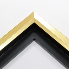 Unique geometric 1 " floater. The face of this molding features an off center peak which gives it a unique contrast in the right lighting.  This frame comes in Metallic gold  finish.